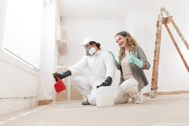 Best Commercial Mold Inspection  in Carrier Mls, IL